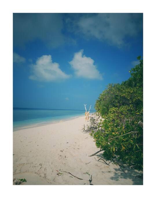 Villa Boheme Ukulhas Island Ngoại thất bức ảnh